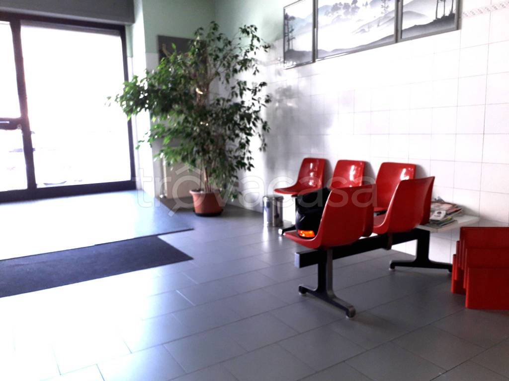 immagine annuncio 11 di 13