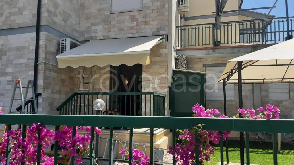 immagine annuncio 3 di 12