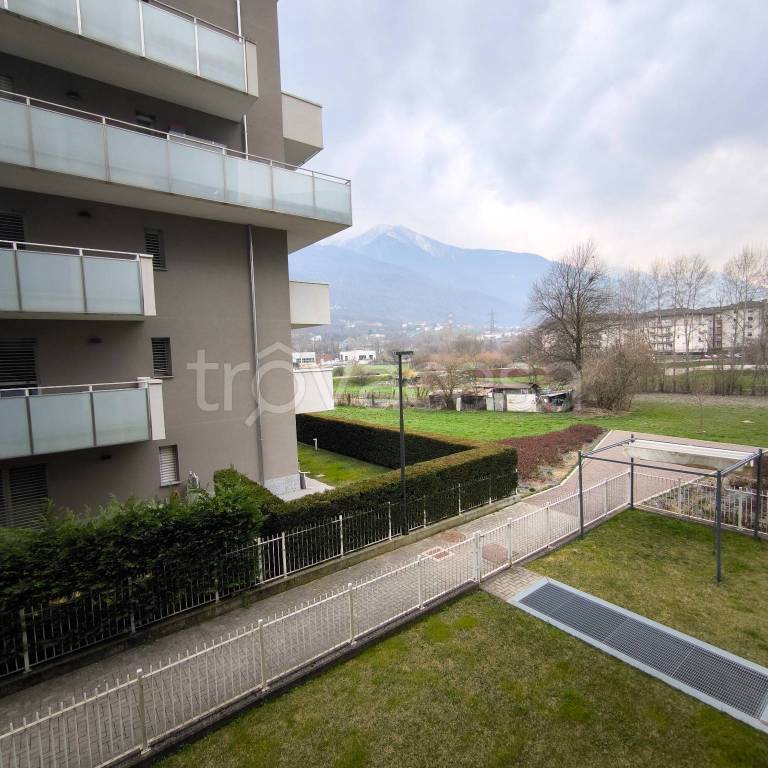 immagine annuncio 4 di 14