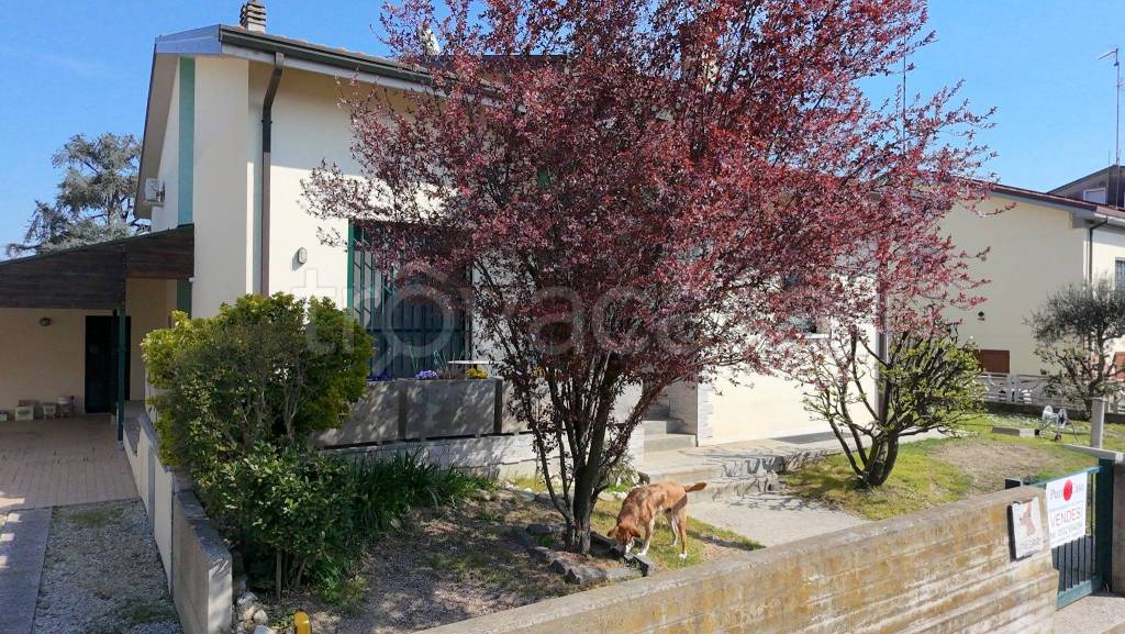 immagine annuncio 2 di 15