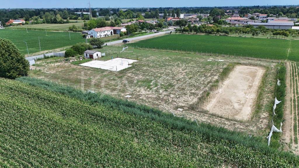 immagine annuncio 3 di 14