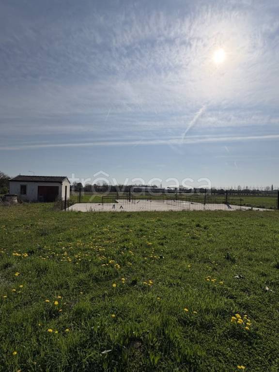 immagine annuncio 4 di 14