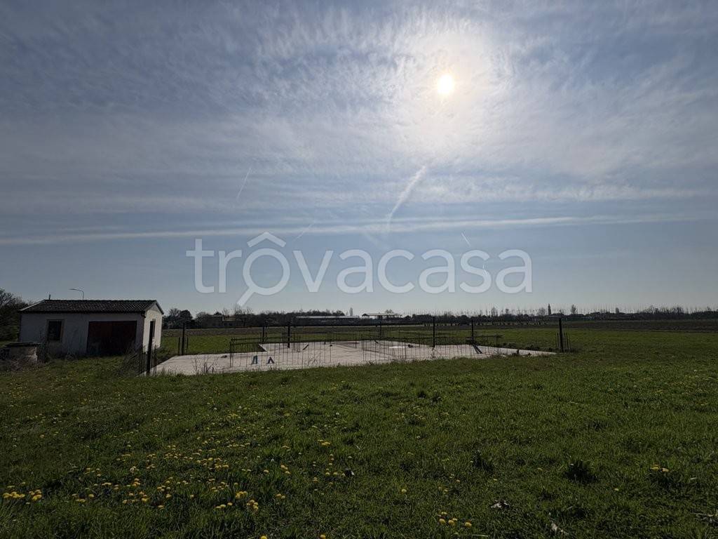 immagine annuncio 5 di 14