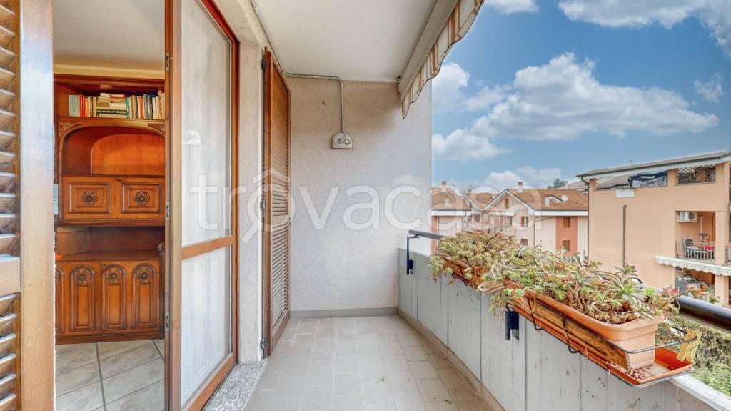 immagine annuncio 12 di 15