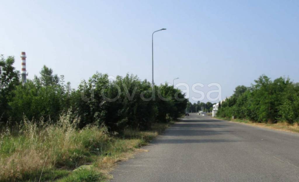 immagine annuncio 3 di 9