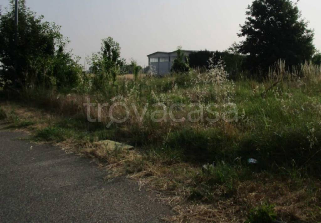 immagine annuncio 5 di 9