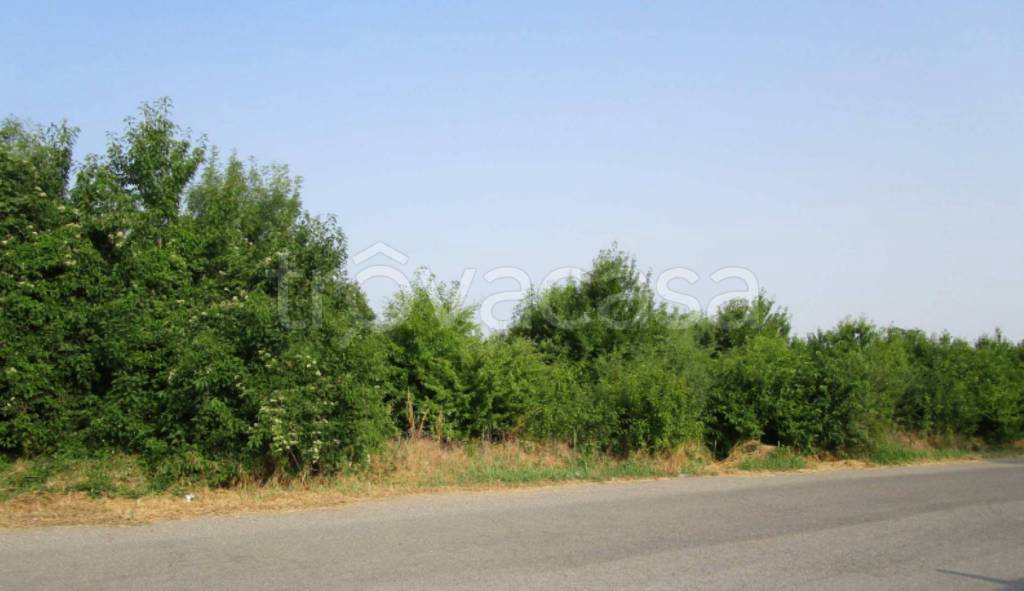 immagine annuncio 7 di 9