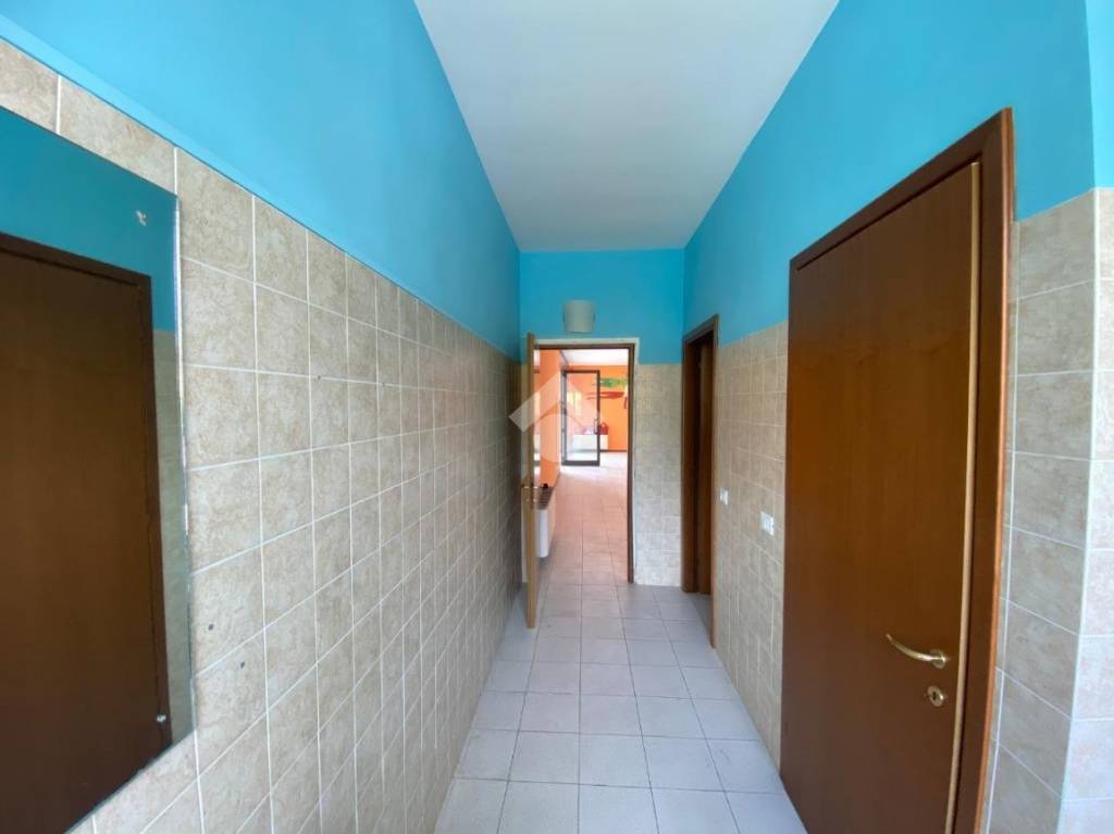 immagine annuncio 3 di 11