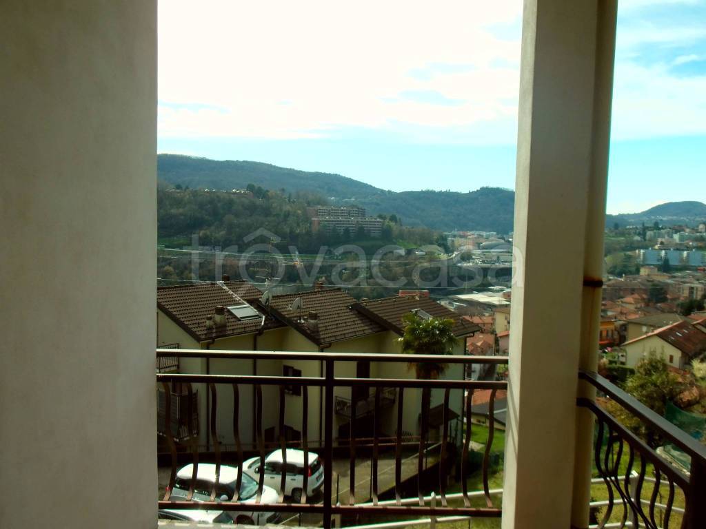 immagine annuncio 5 di 14