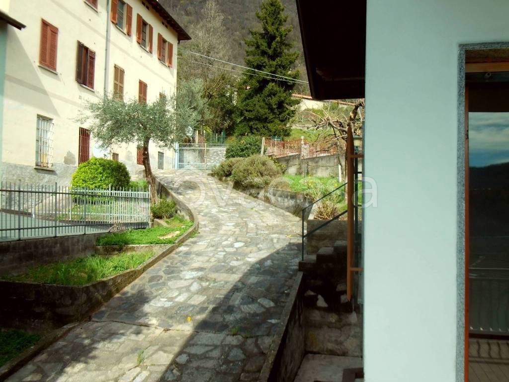 immagine annuncio 6 di 14