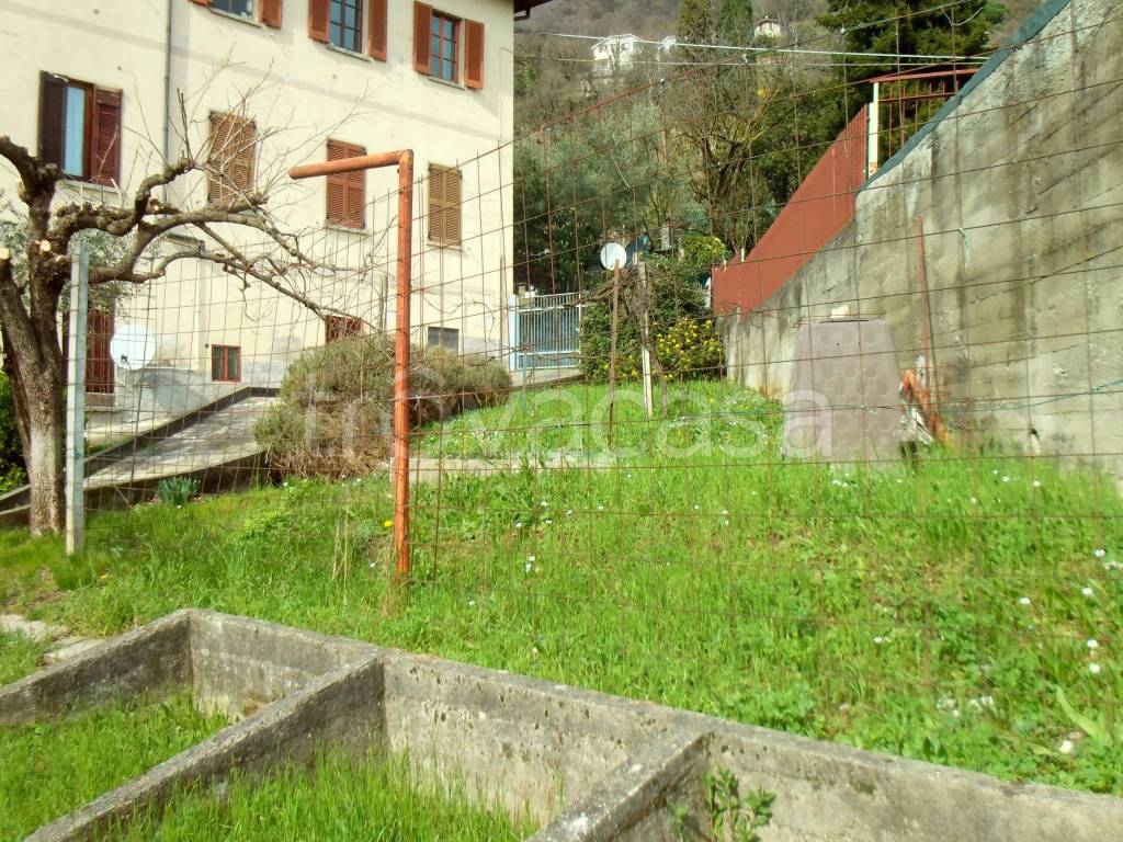 immagine annuncio 9 di 14