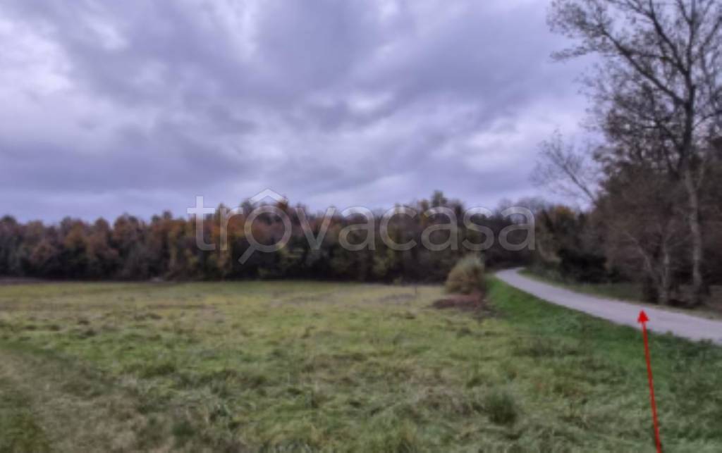 immagine annuncio 10 di 13