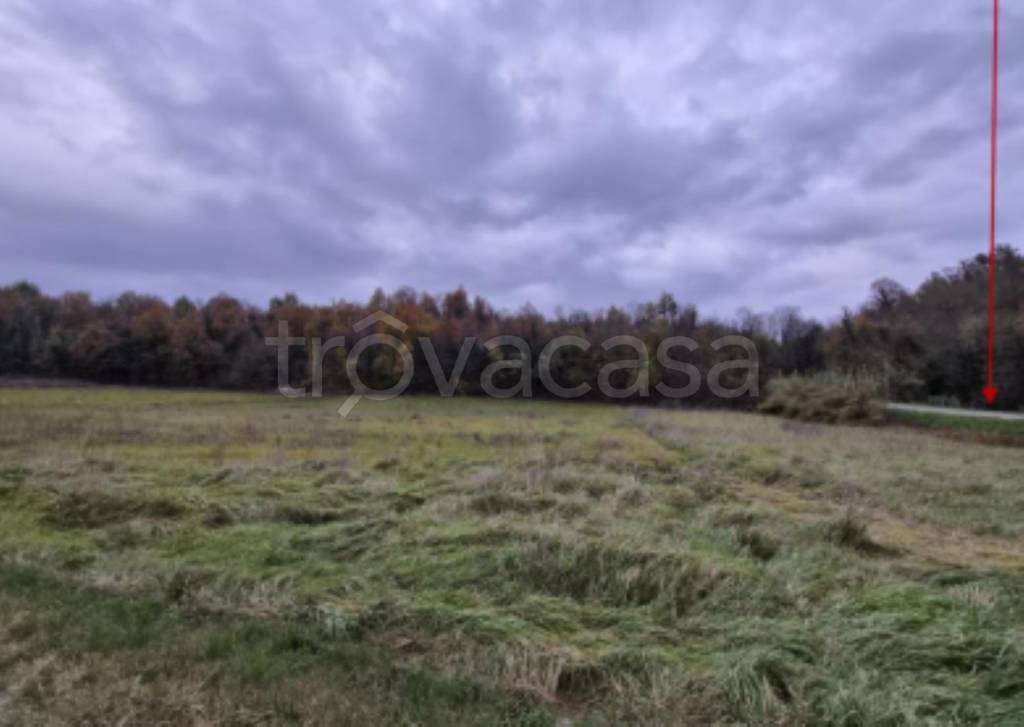 immagine annuncio 11 di 13