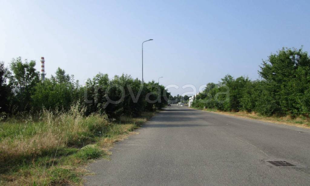 immagine annuncio 2 di 11