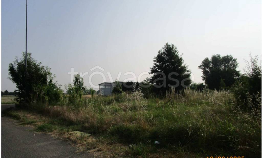 immagine annuncio 3 di 11