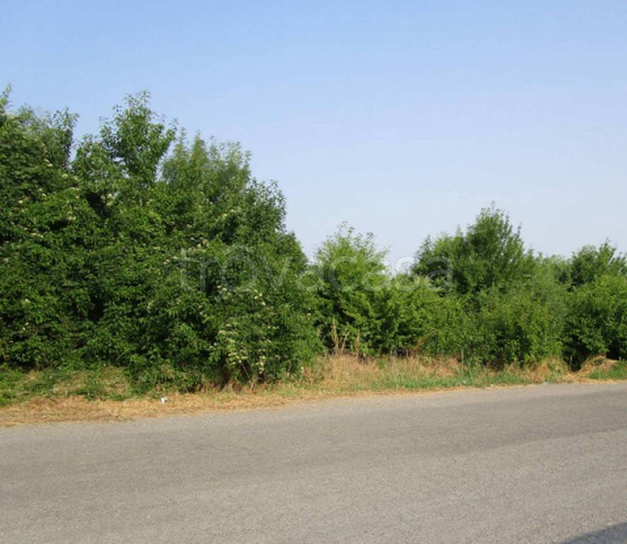 immagine annuncio 4 di 11