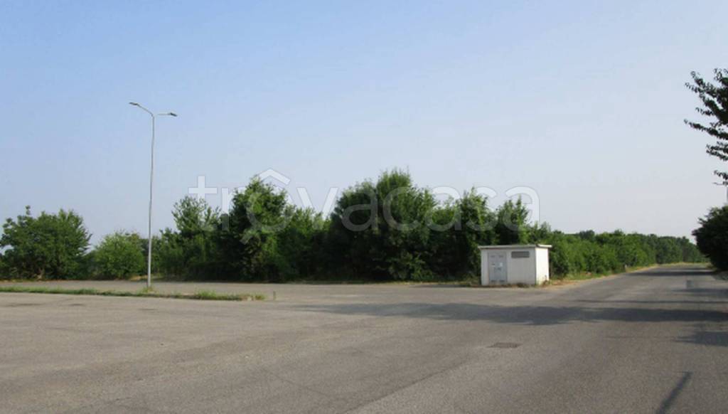 immagine annuncio 5 di 11