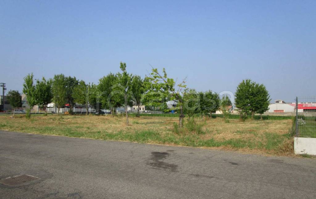 immagine annuncio 9 di 11