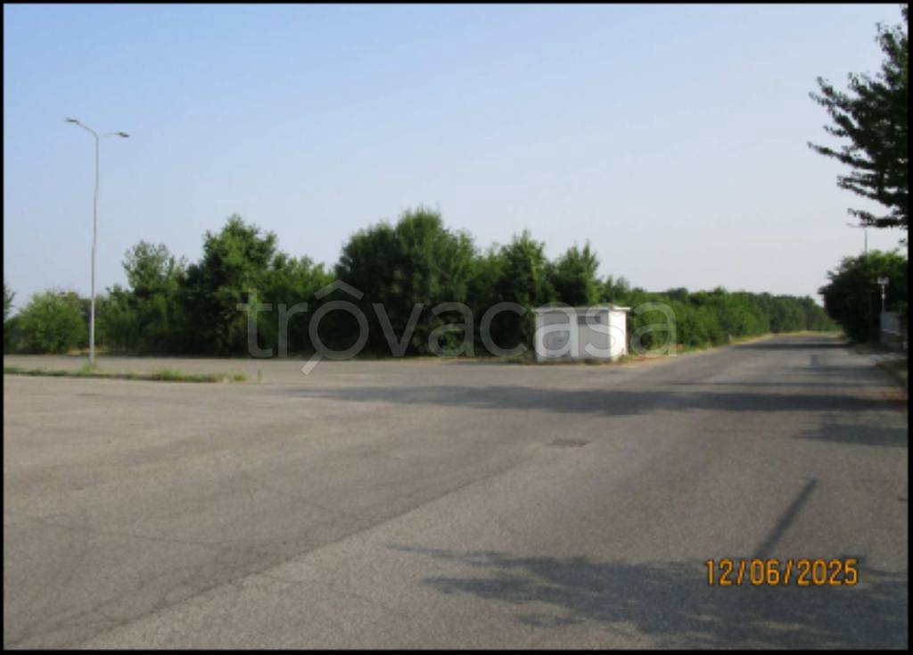 immagine annuncio 6 di 14