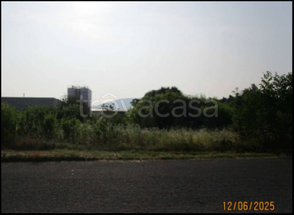 immagine annuncio 8 di 14