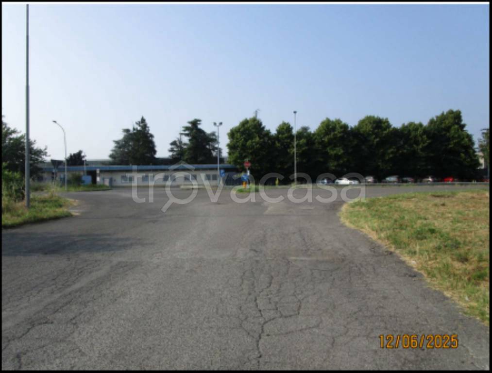 immagine annuncio 12 di 14