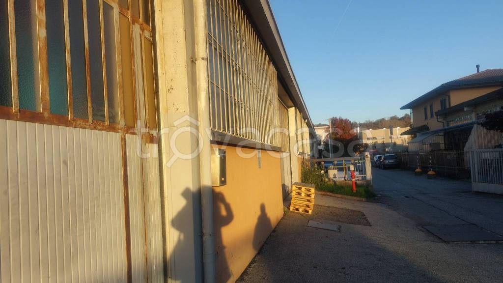 immagine annuncio 1 di 11