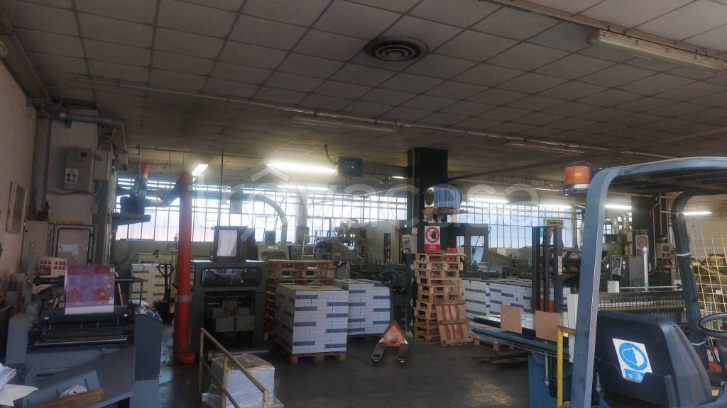 immagine annuncio 2 di 11