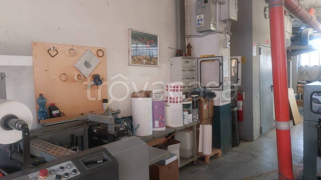 immagine annuncio 3 di 11