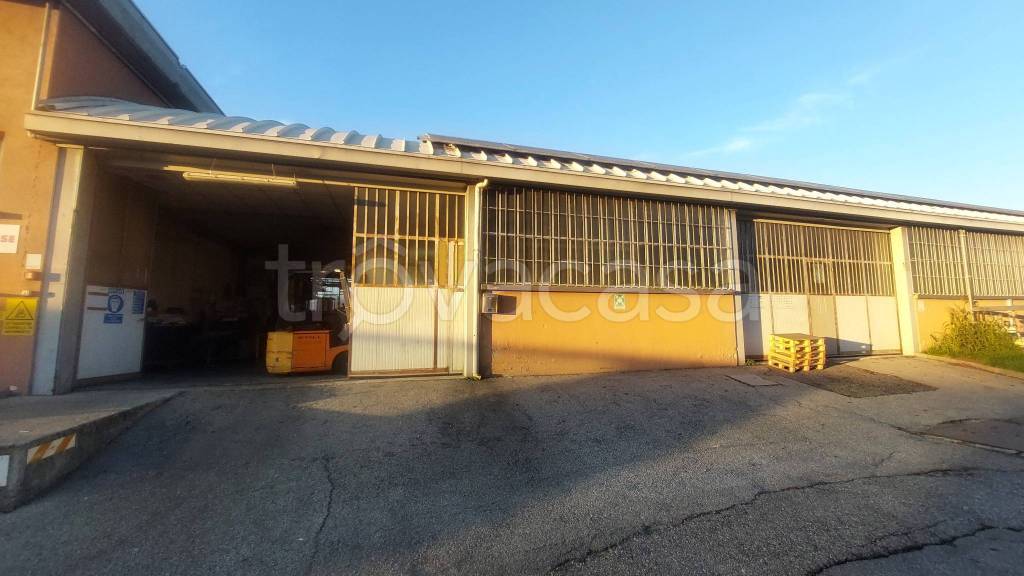 immagine annuncio 6 di 11