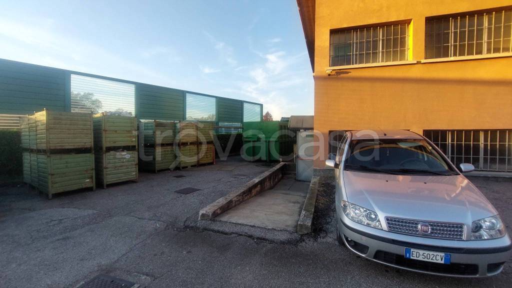 immagine annuncio 8 di 11