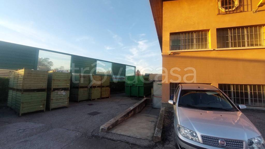 immagine annuncio 9 di 11