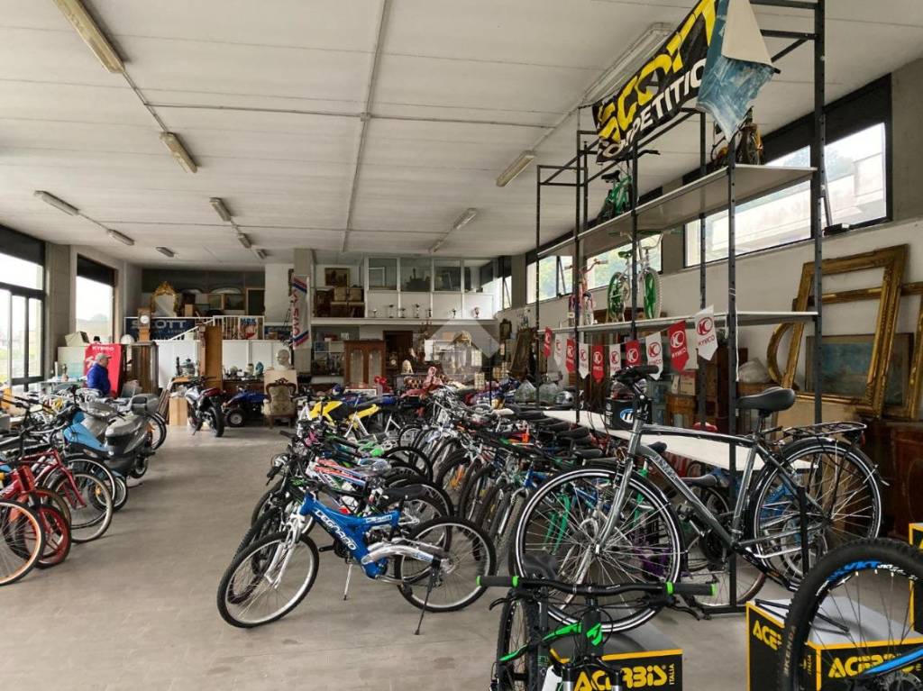 immagine annuncio 3 di 7