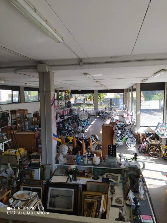 immagine annuncio 4 di 7