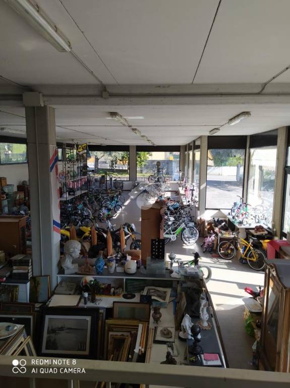 immagine annuncio 6 di 7