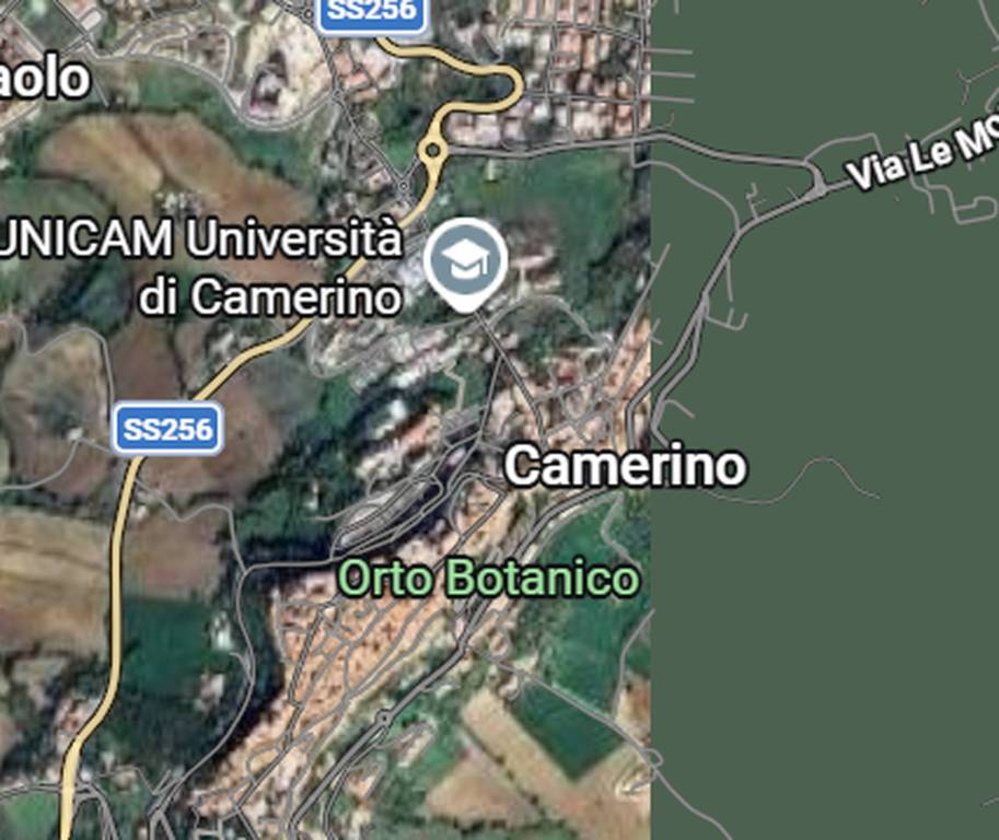 immagine annuncio 4 di 11