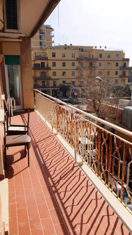 immagine annuncio 3 di 12