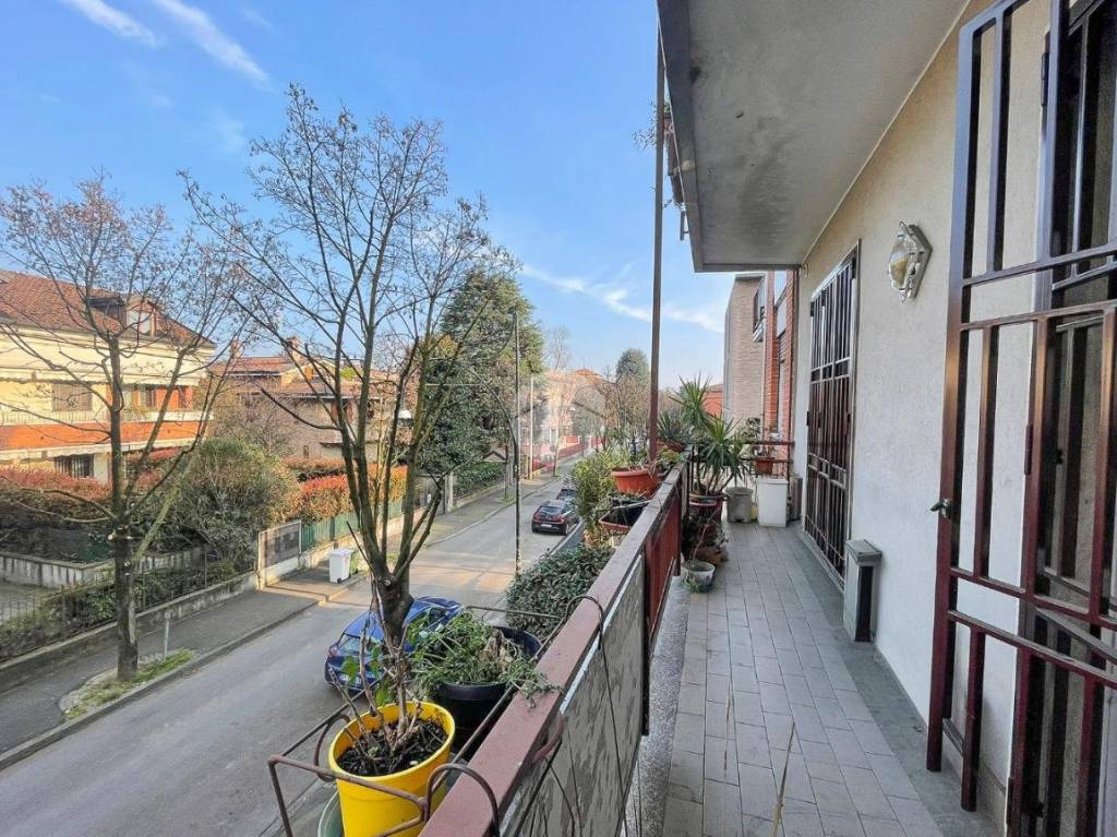 immagine annuncio 5 di 15