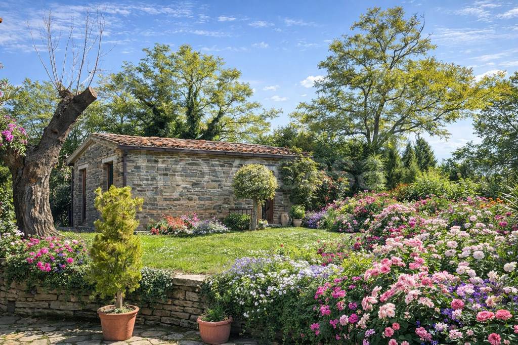 immagine annuncio 2 di 10