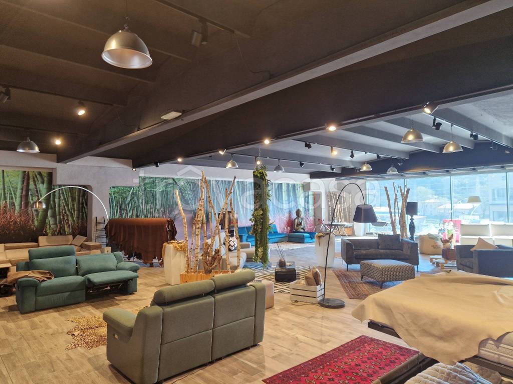 immagine annuncio 4 di 14