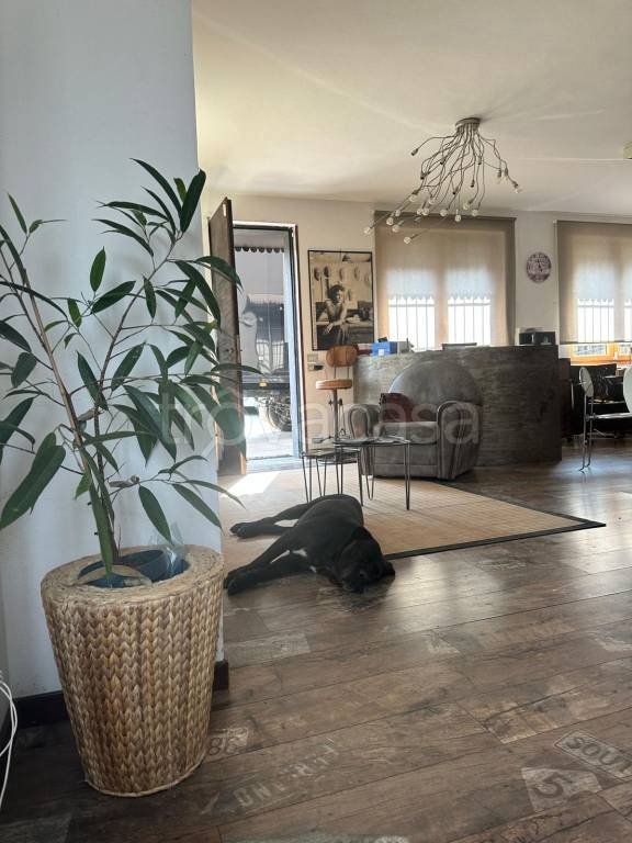 immagine annuncio 12 di 14