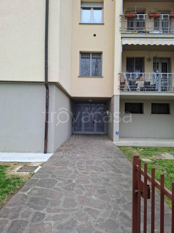 immagine annuncio 3 di 12