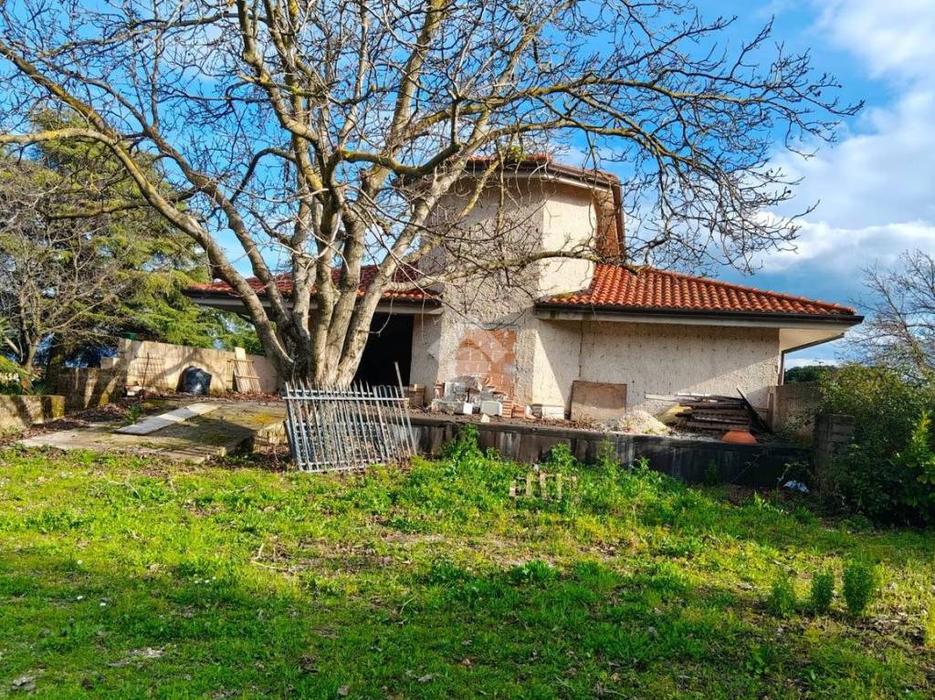 immagine annuncio 3 di 13