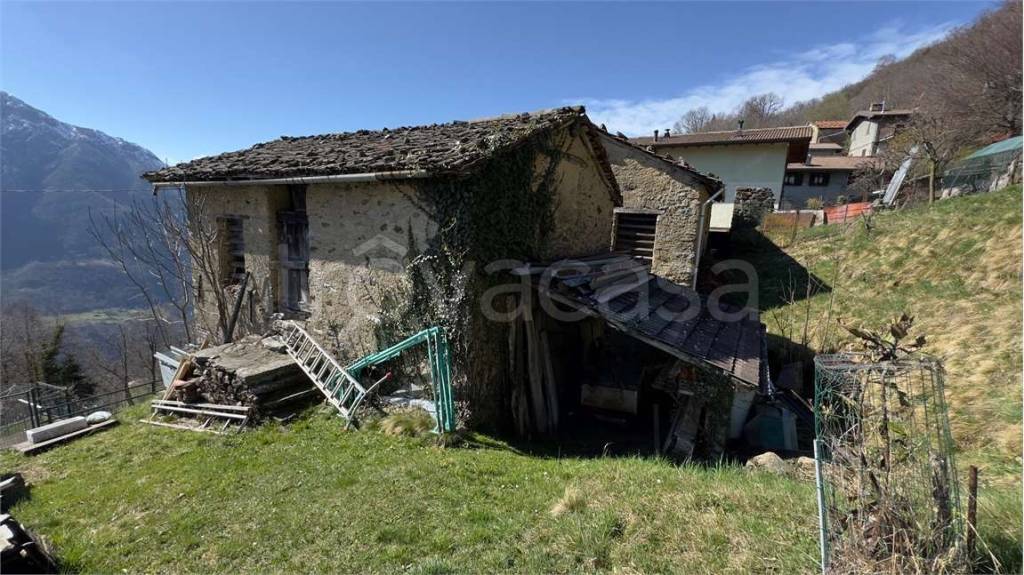 immagine annuncio 1 di 12