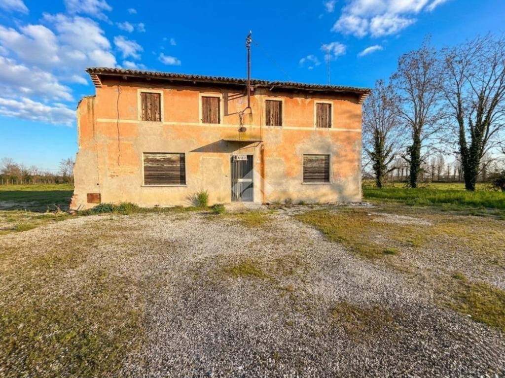 immagine annuncio 2 di 6