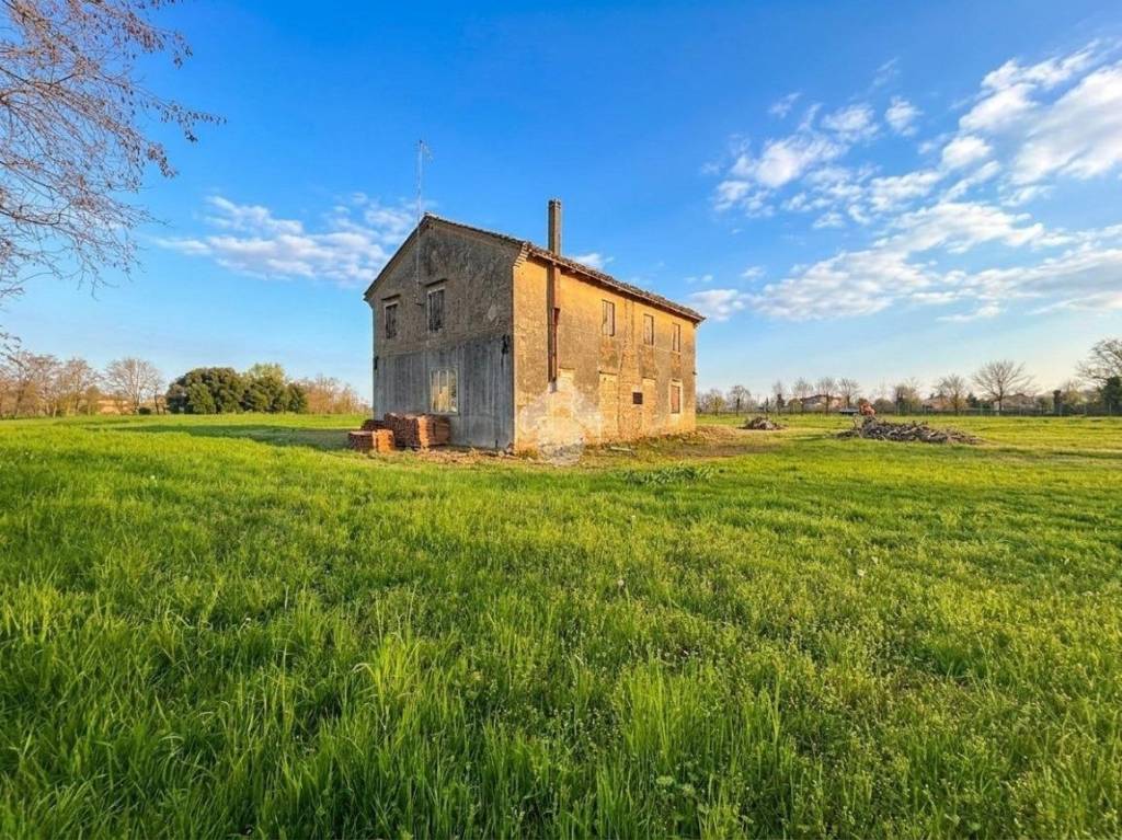 immagine annuncio 3 di 6