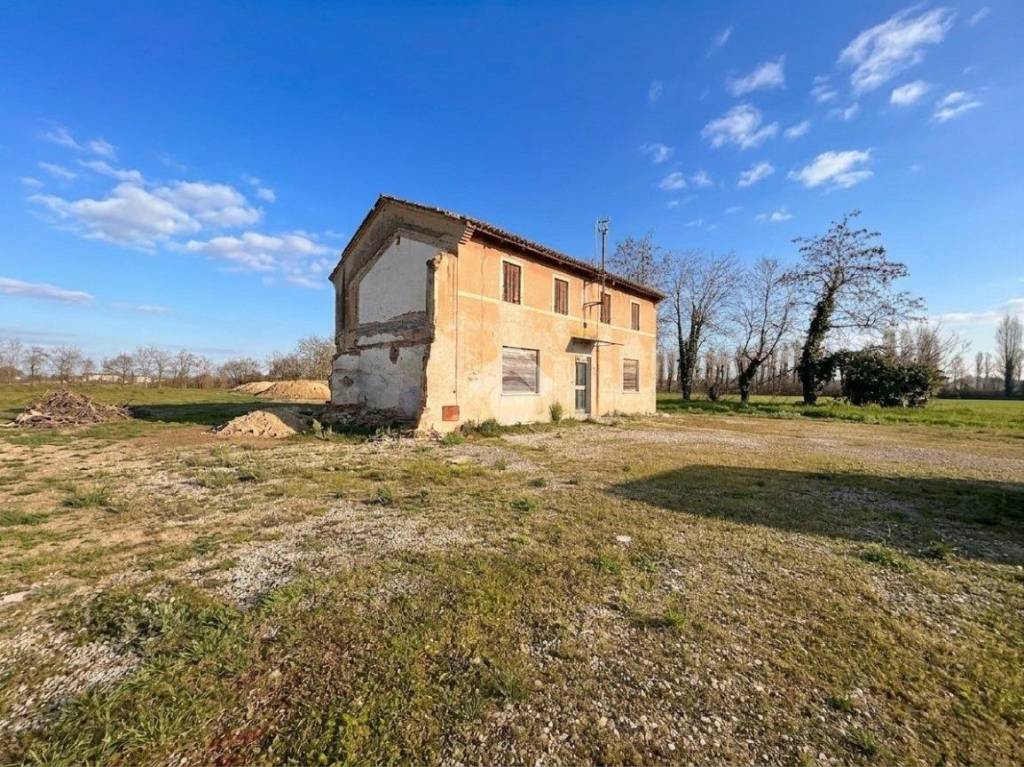 immagine annuncio 4 di 6