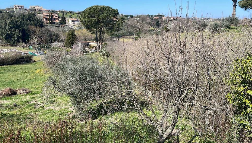 immagine annuncio 6 di 11