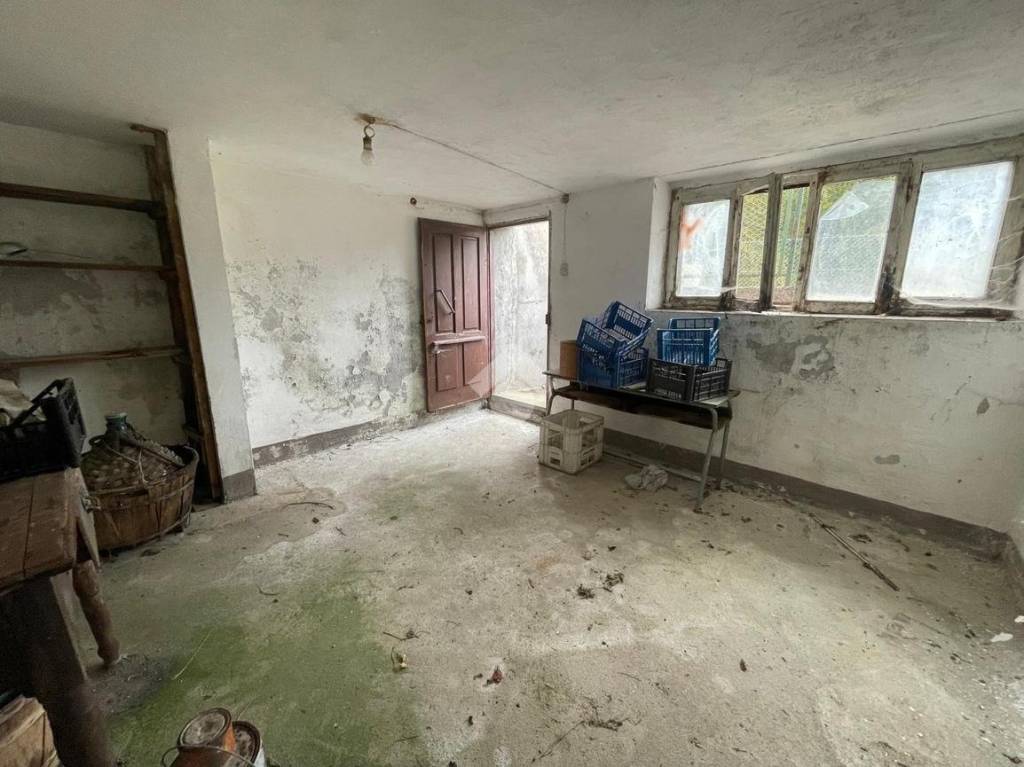 immagine annuncio 11 di 14