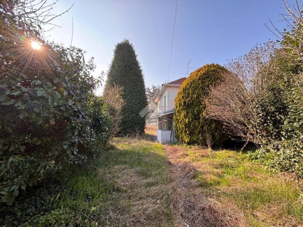 immagine annuncio 5 di 11