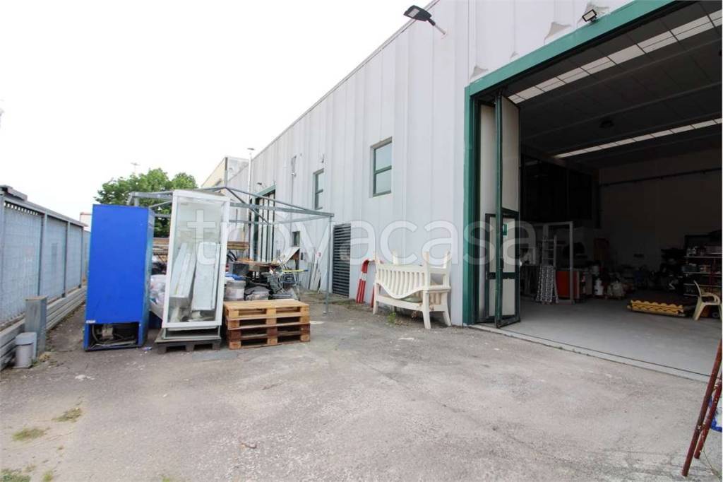 immagine annuncio 2 di 15